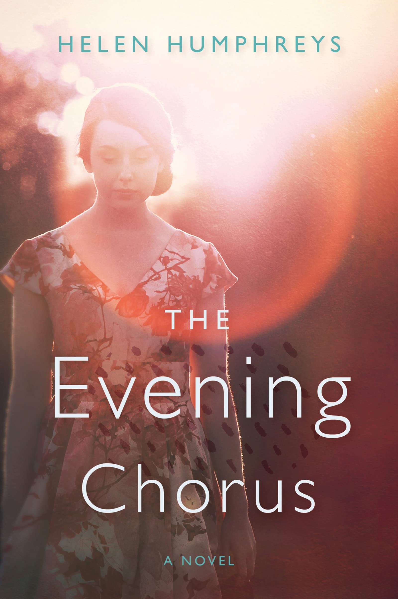 The Evening Chorus: A Novel book cover