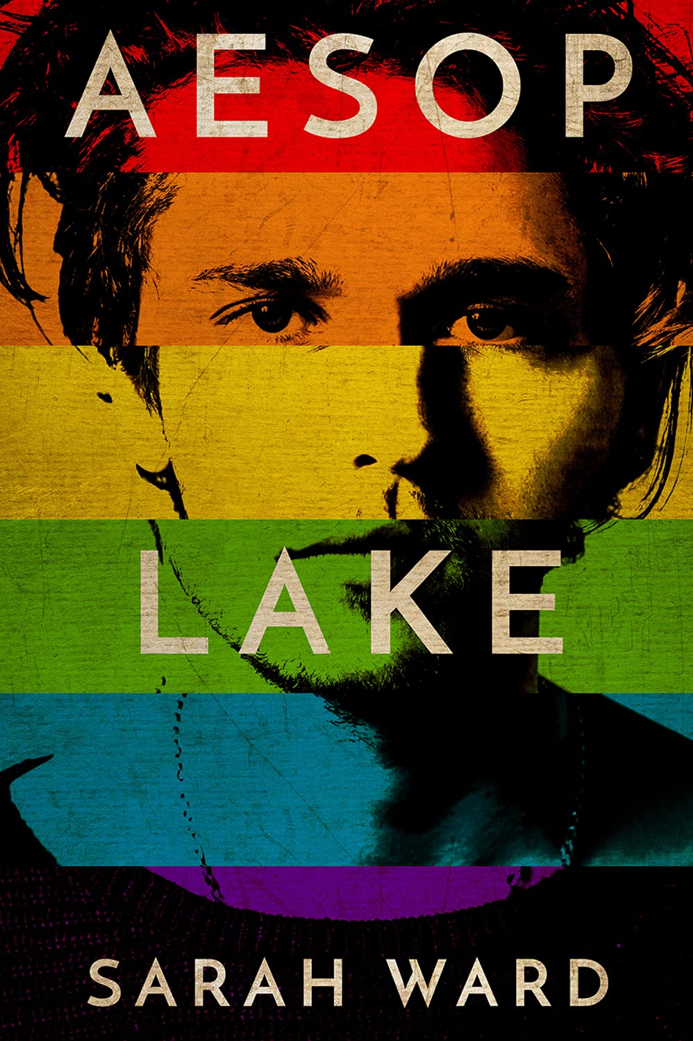 Aesop Lake book cover