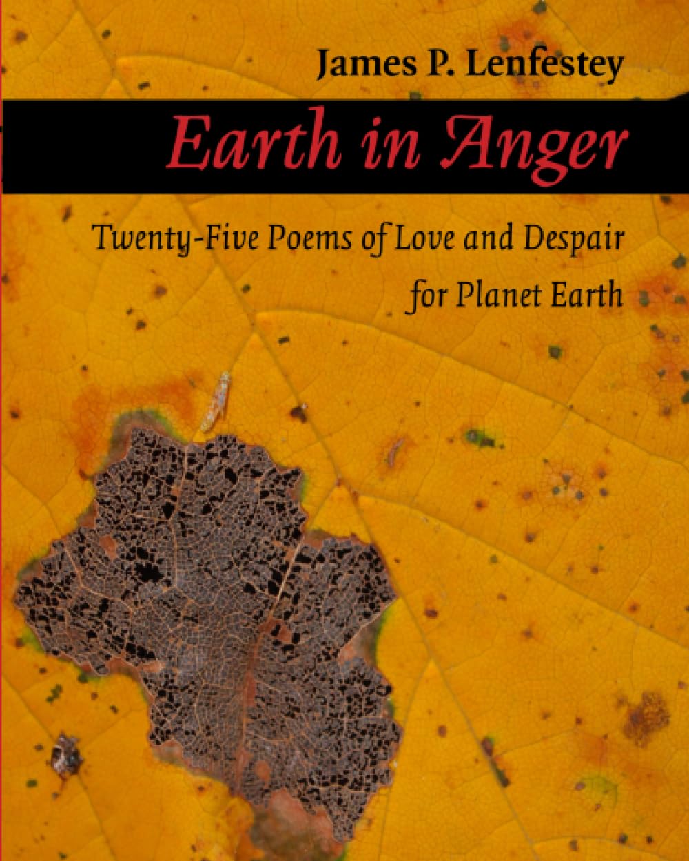 Earth in Anger: Twenty-Five Poems of Love and Despair for Planet Earth book cover