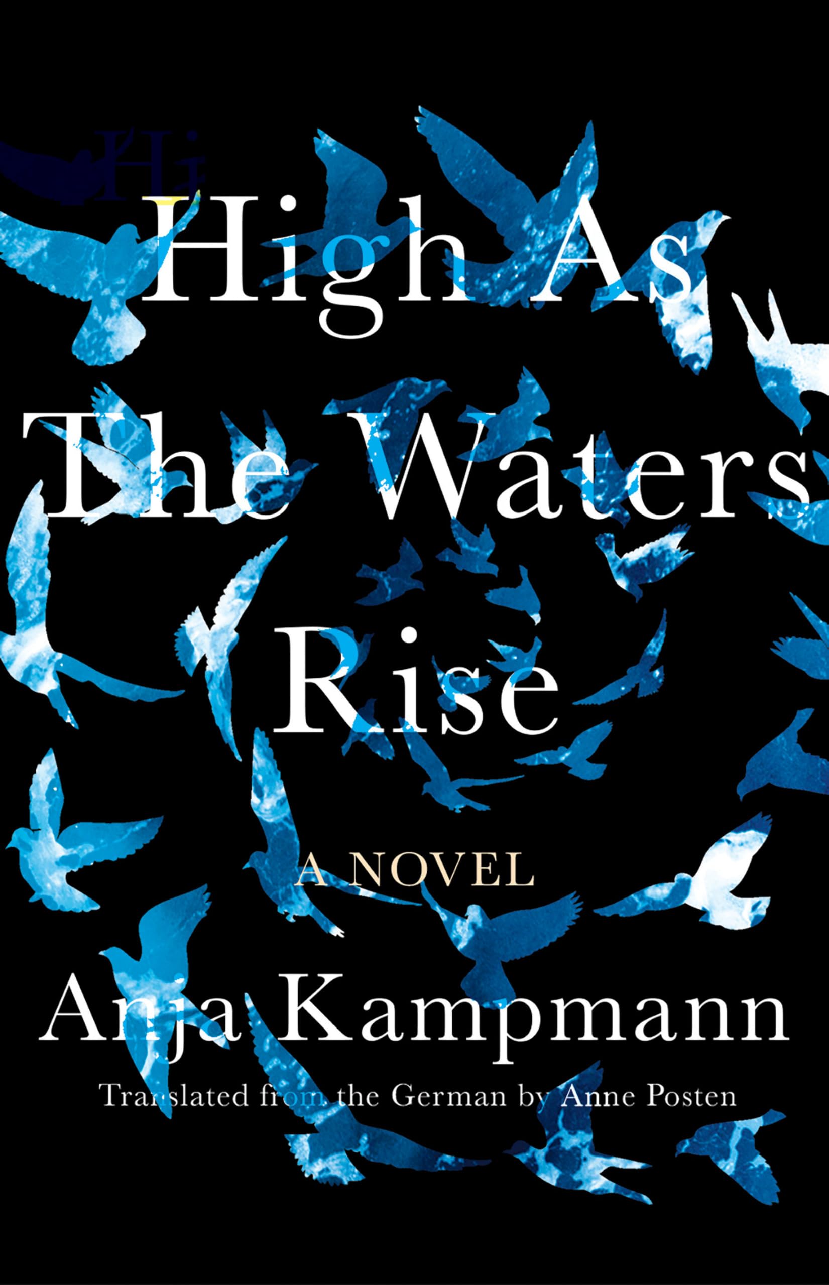 High as the Waters Rise book cover