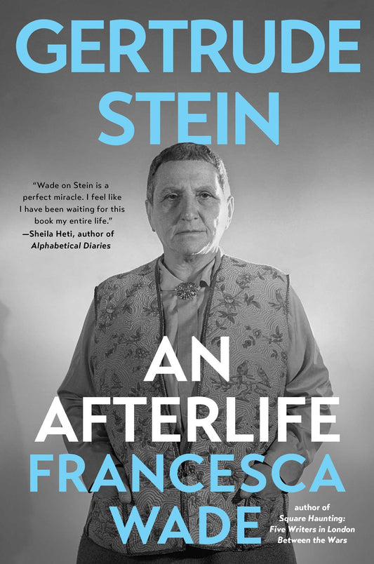 Gertrude Stein: An Afterlife book cover