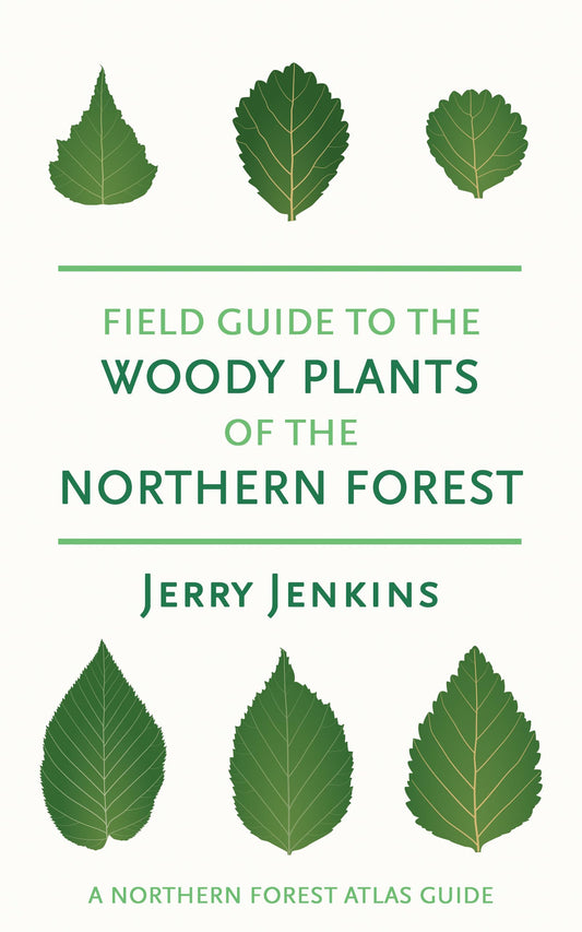 Field Guide to the Woody Plants of the Northern Forest book cover