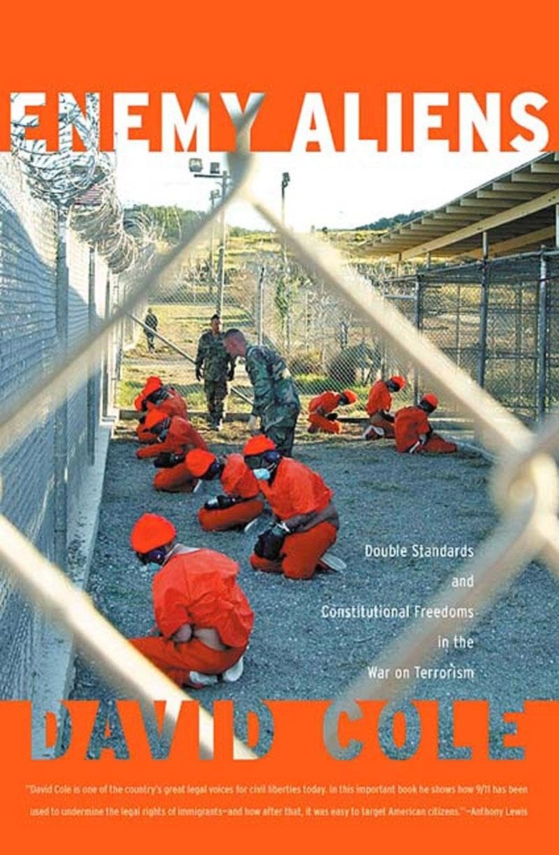 Enemy Aliens: Double Standards and Constitutional Freedoms in the War on Terrorism book cover
