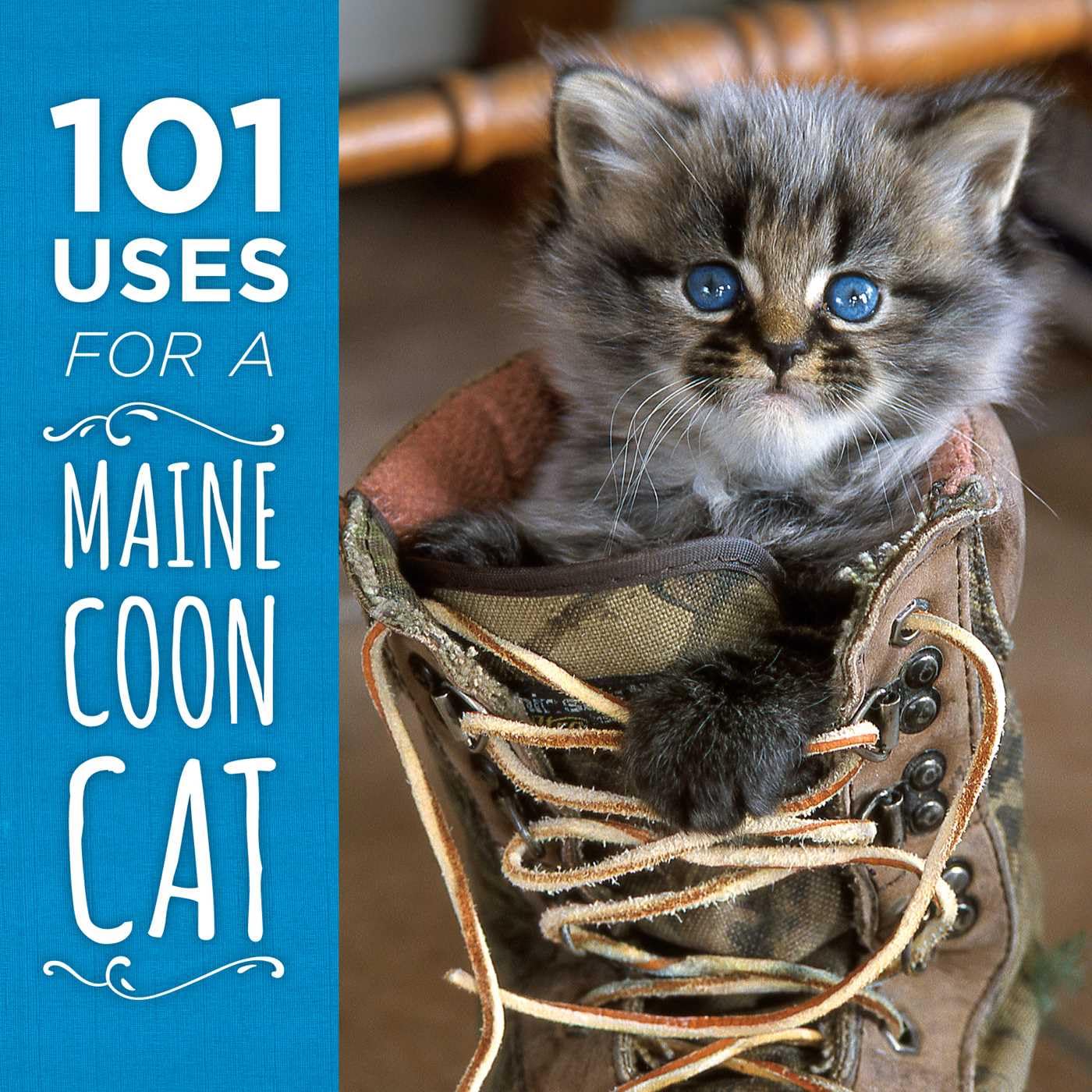 101 Uses for a Maine Coon Cat book cover