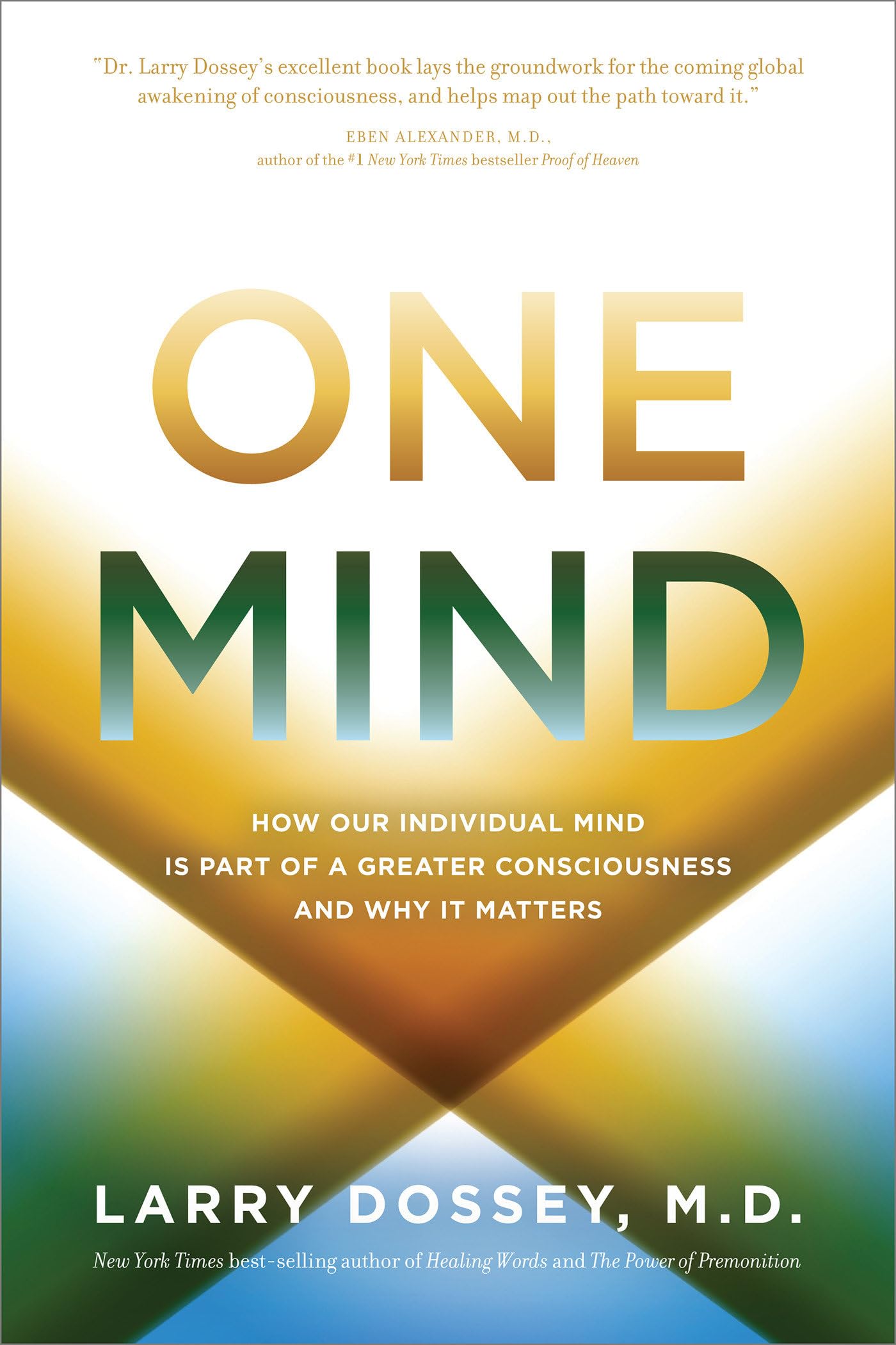 One Mind: How Our Individual Mind Is Part of a Greater Consciousness and Why It Matters book cover