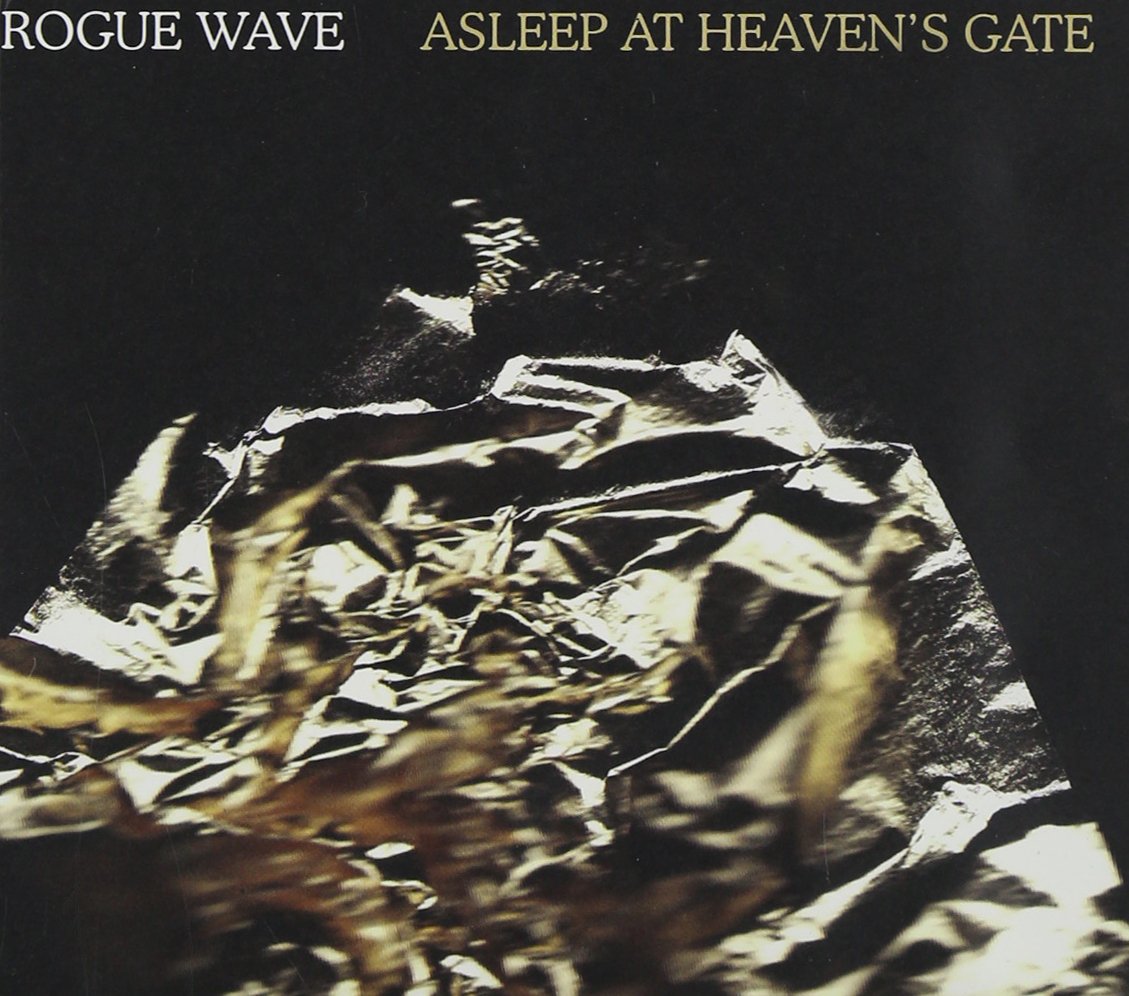 Asleep at Heaven's Gate book cover