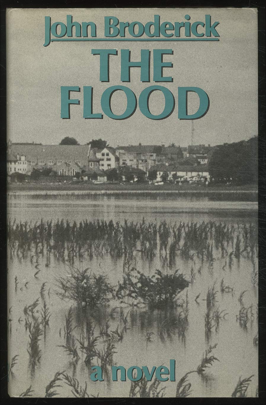 Flood book cover