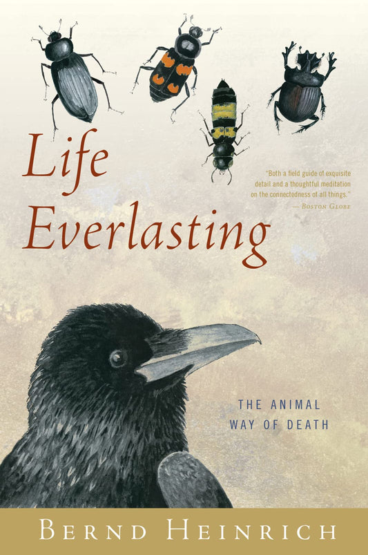 Life Everlasting: The Animal Way of Death book cover