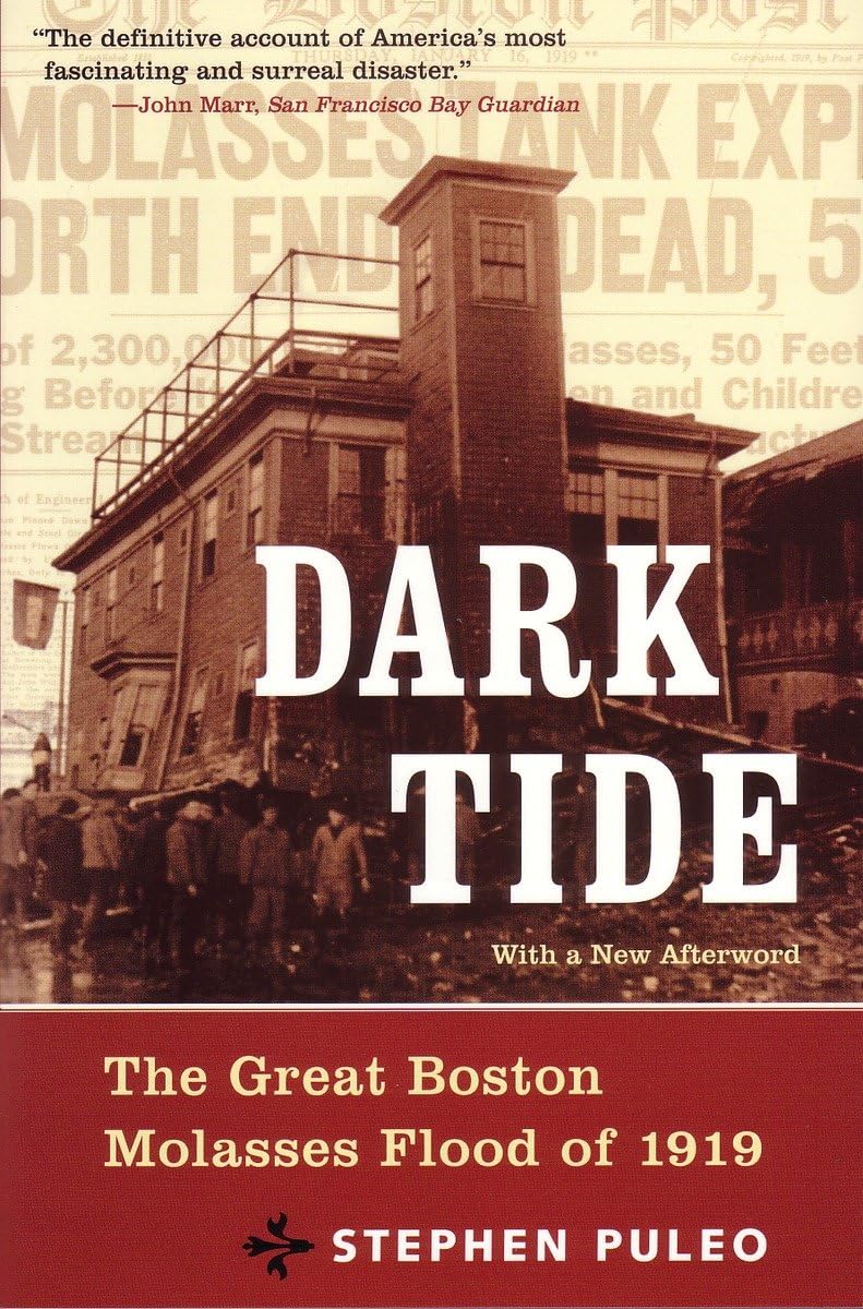 Dark Tide: The Great Boston Molasses Flood of 1919 book cover