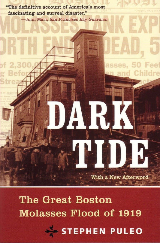 Dark Tide: The Great Boston Molasses Flood of 1919 book cover