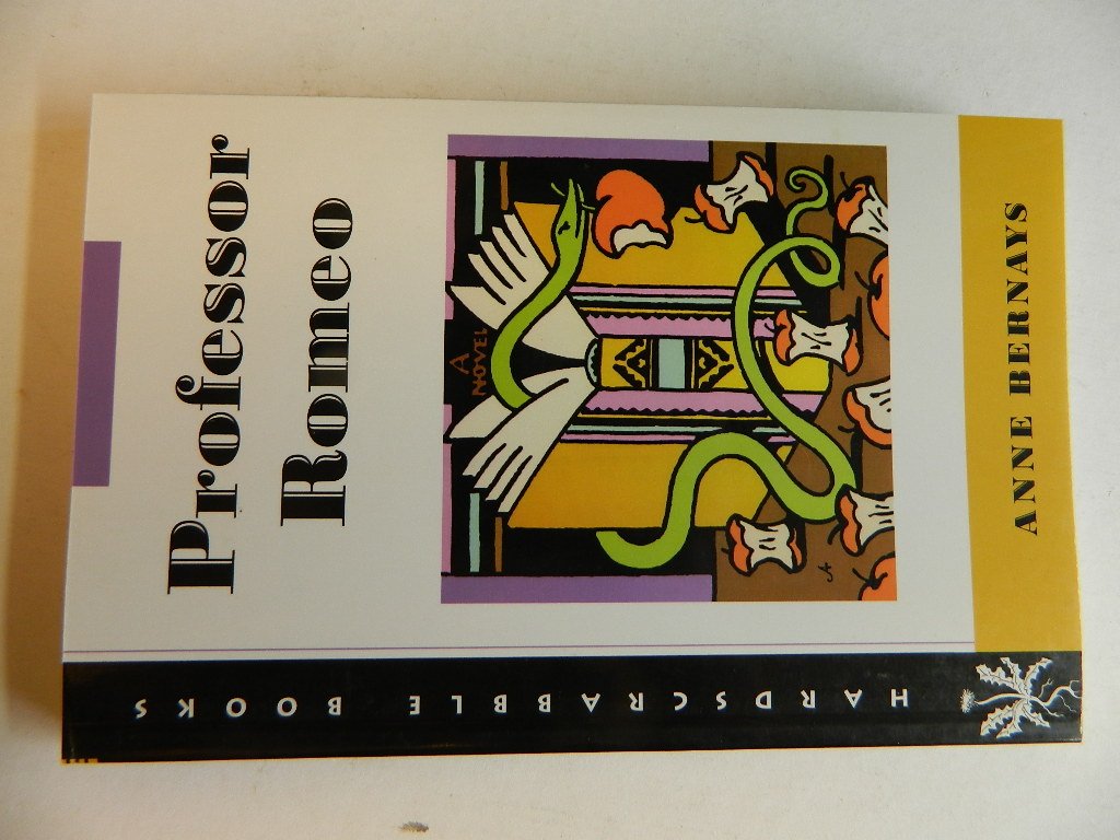 Professor Romeo: The Journal of a Country Doctor (Univ PR of New) book cover