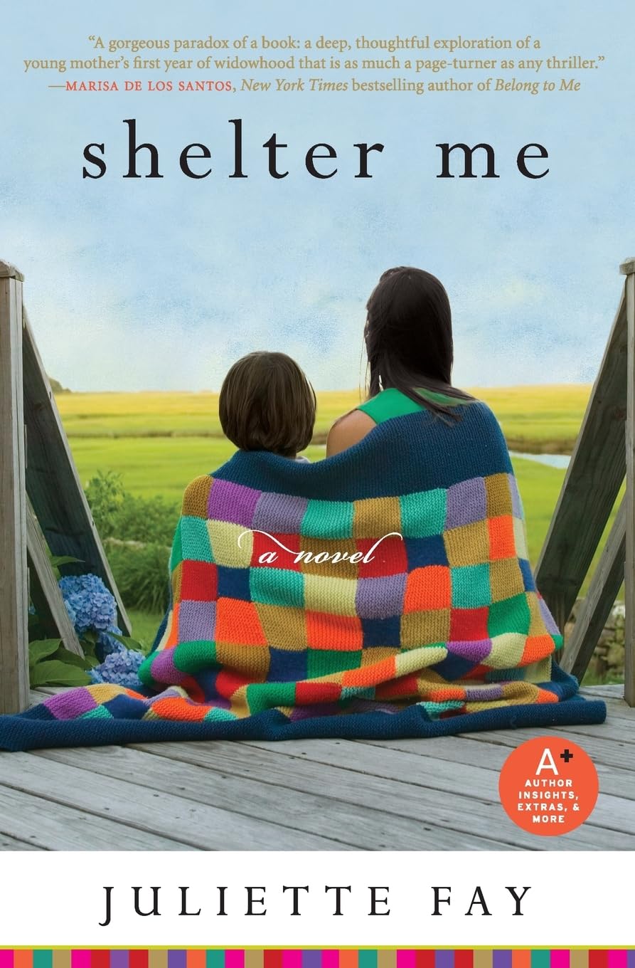 Shelter Me book cover