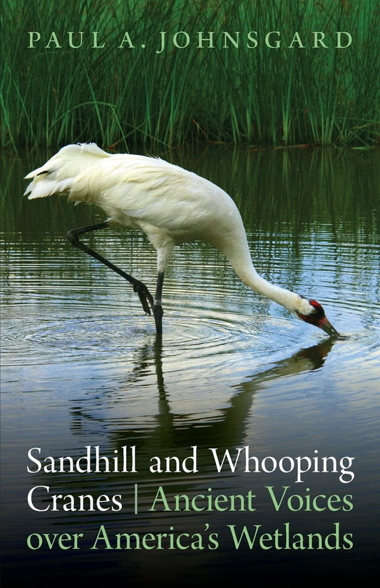 Sandhill and Whooping Cranes: Ancient Voices Over America's Wetlands book cover