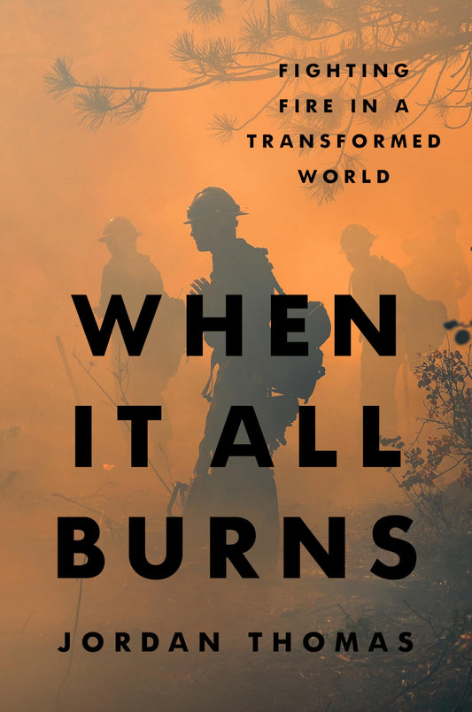 When It All Burns book cover