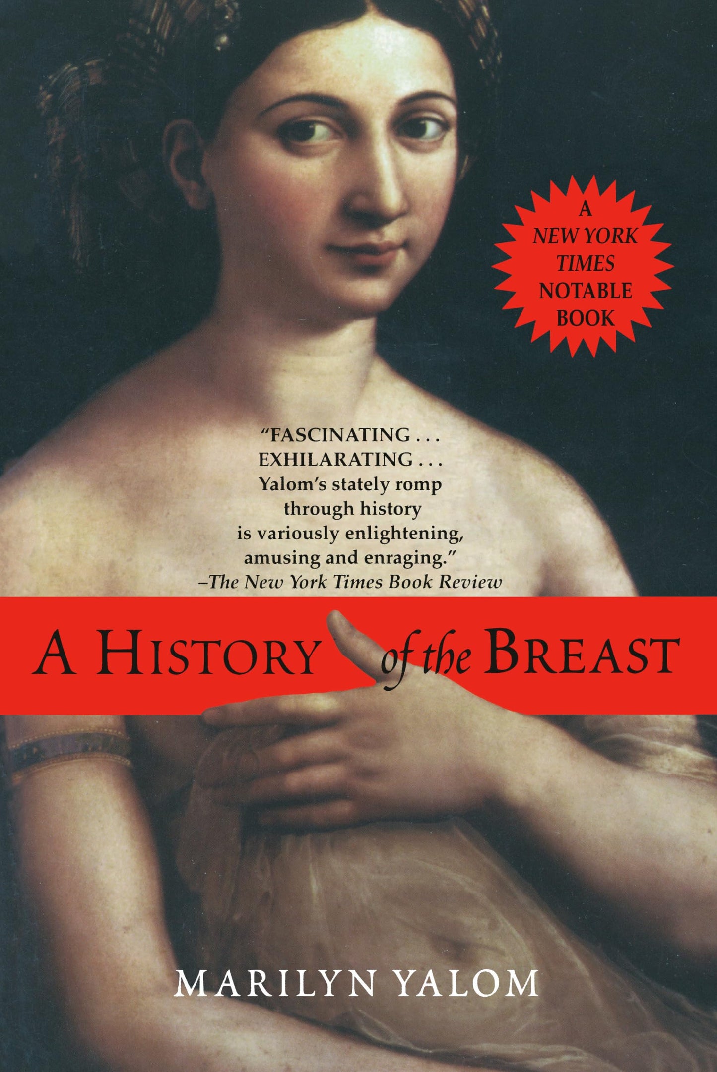 History of the Breast book cover