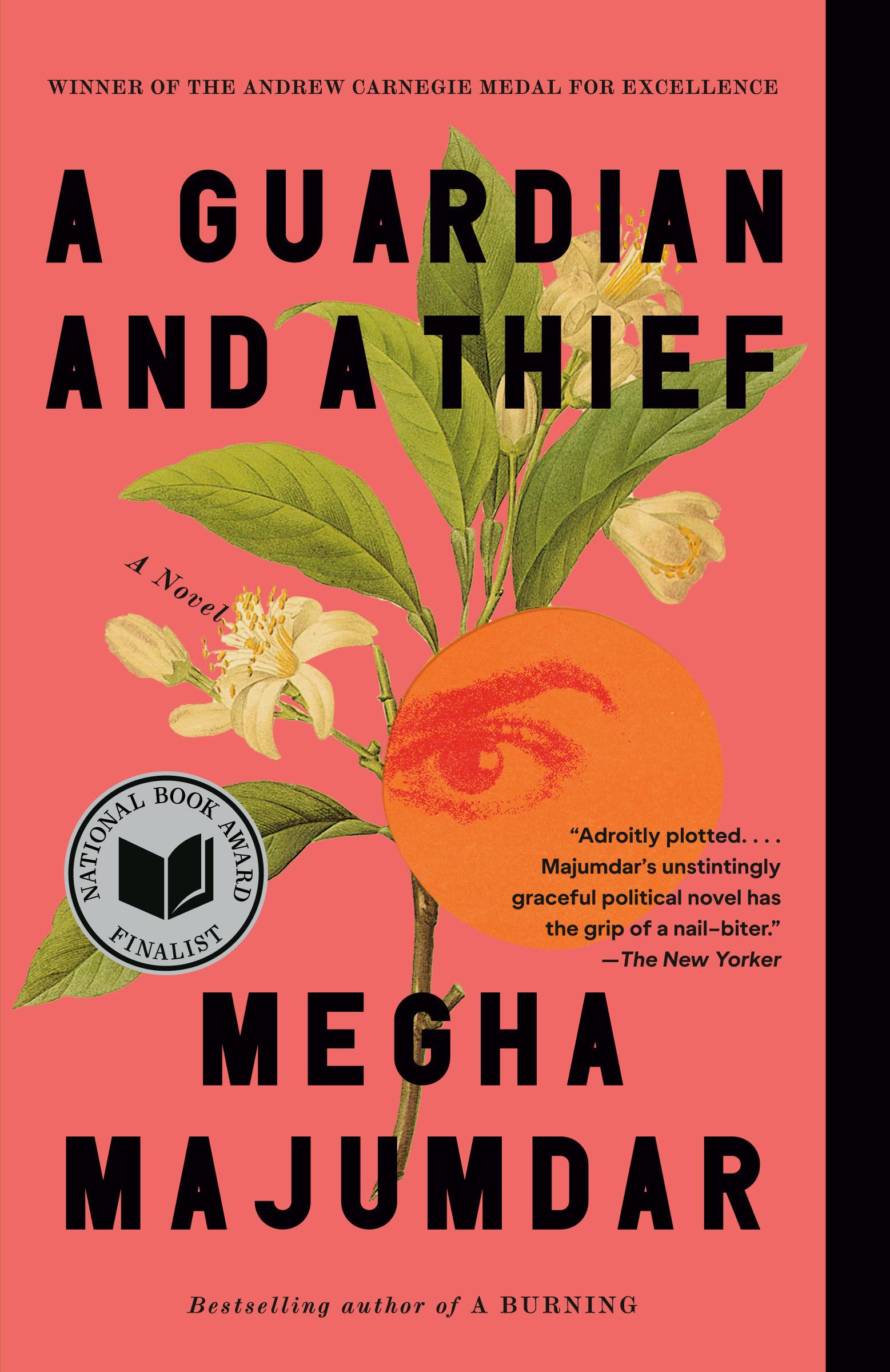 A Guardian and a Thief book cover