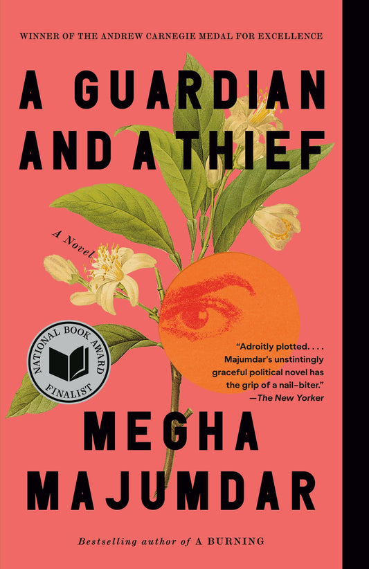 A Guardian and a Thief book cover