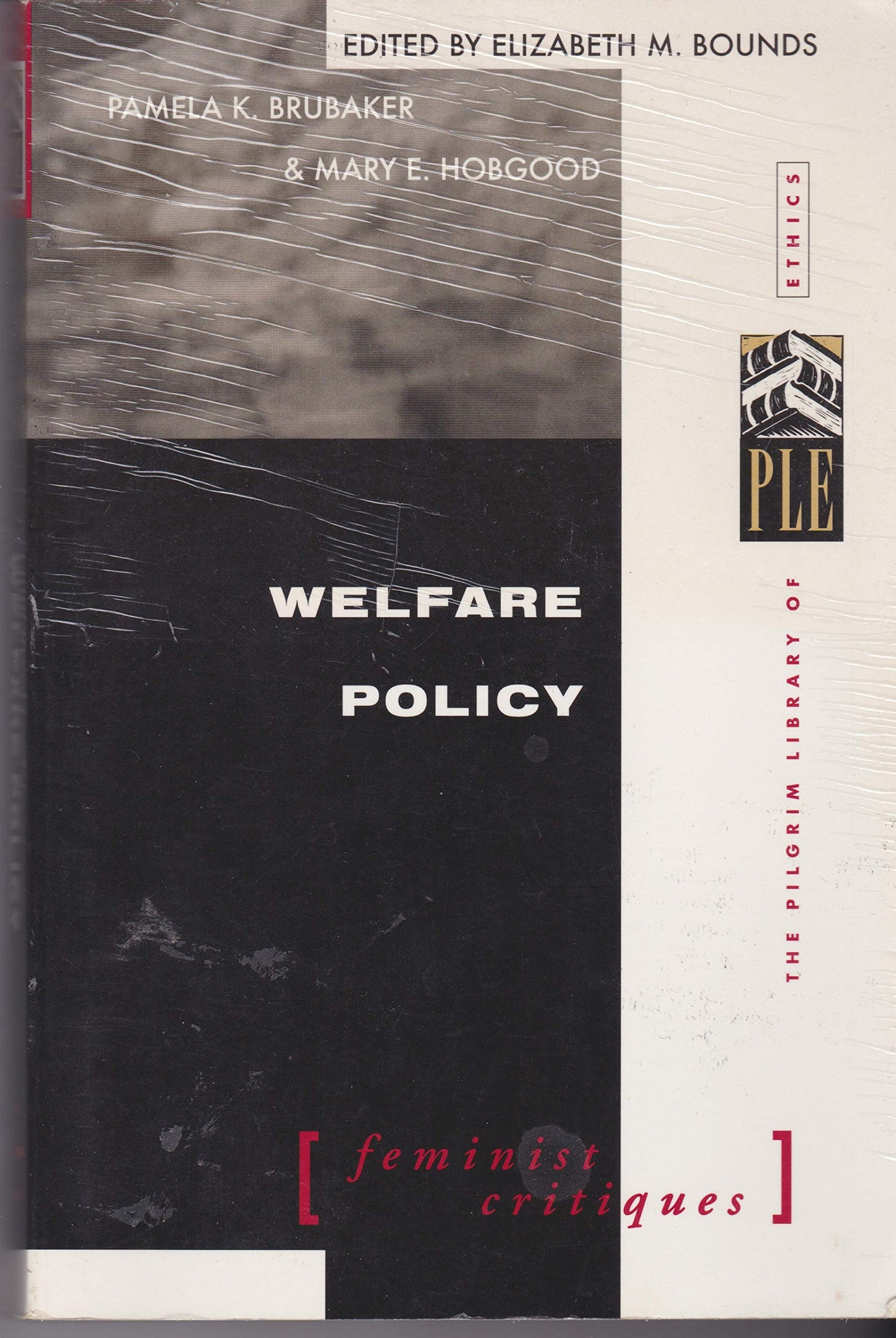 Welfare Policy: Feminist Critiques