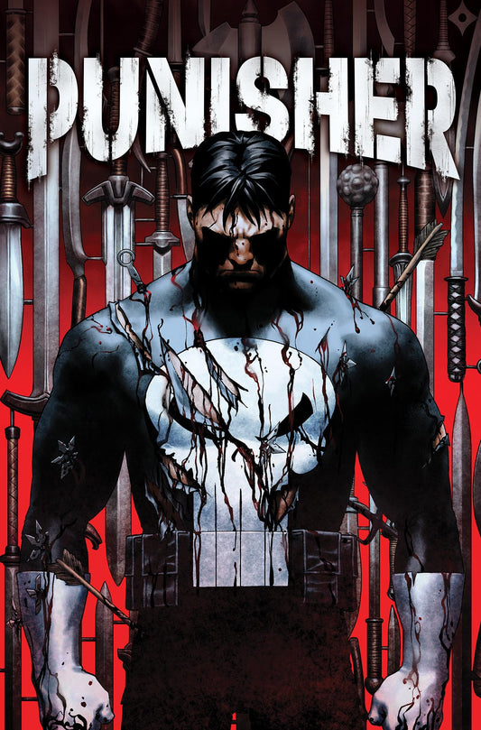 Punisher Vol. 1: The King of Killers Book One book cover