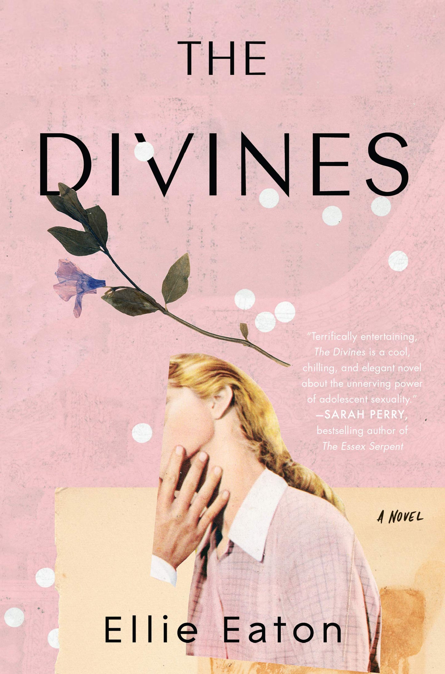 Divines book cover