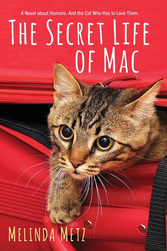 Secret Life of Mac
