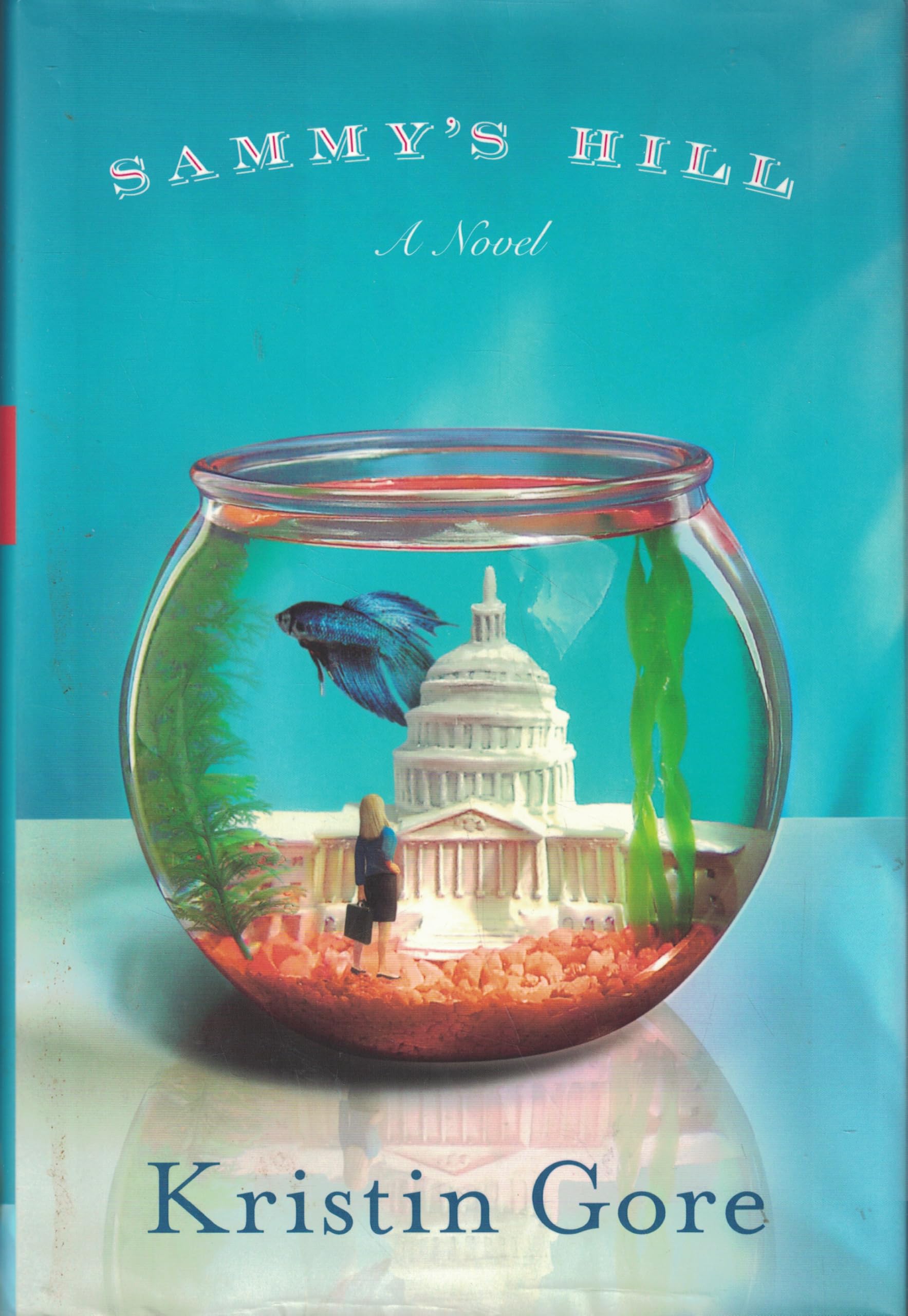Sammy's Hill book cover