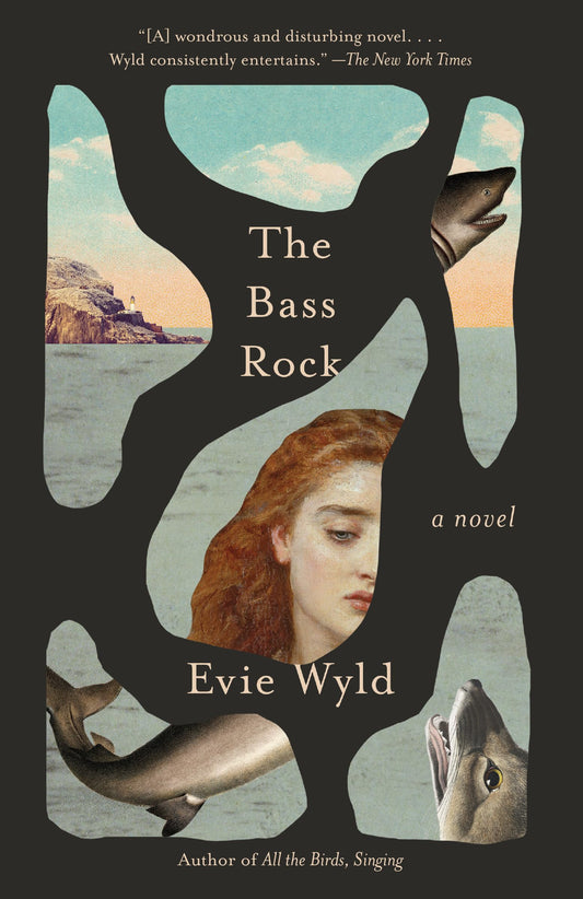 Bass Rock book cover