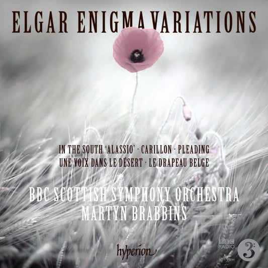 Enigma Variations book cover