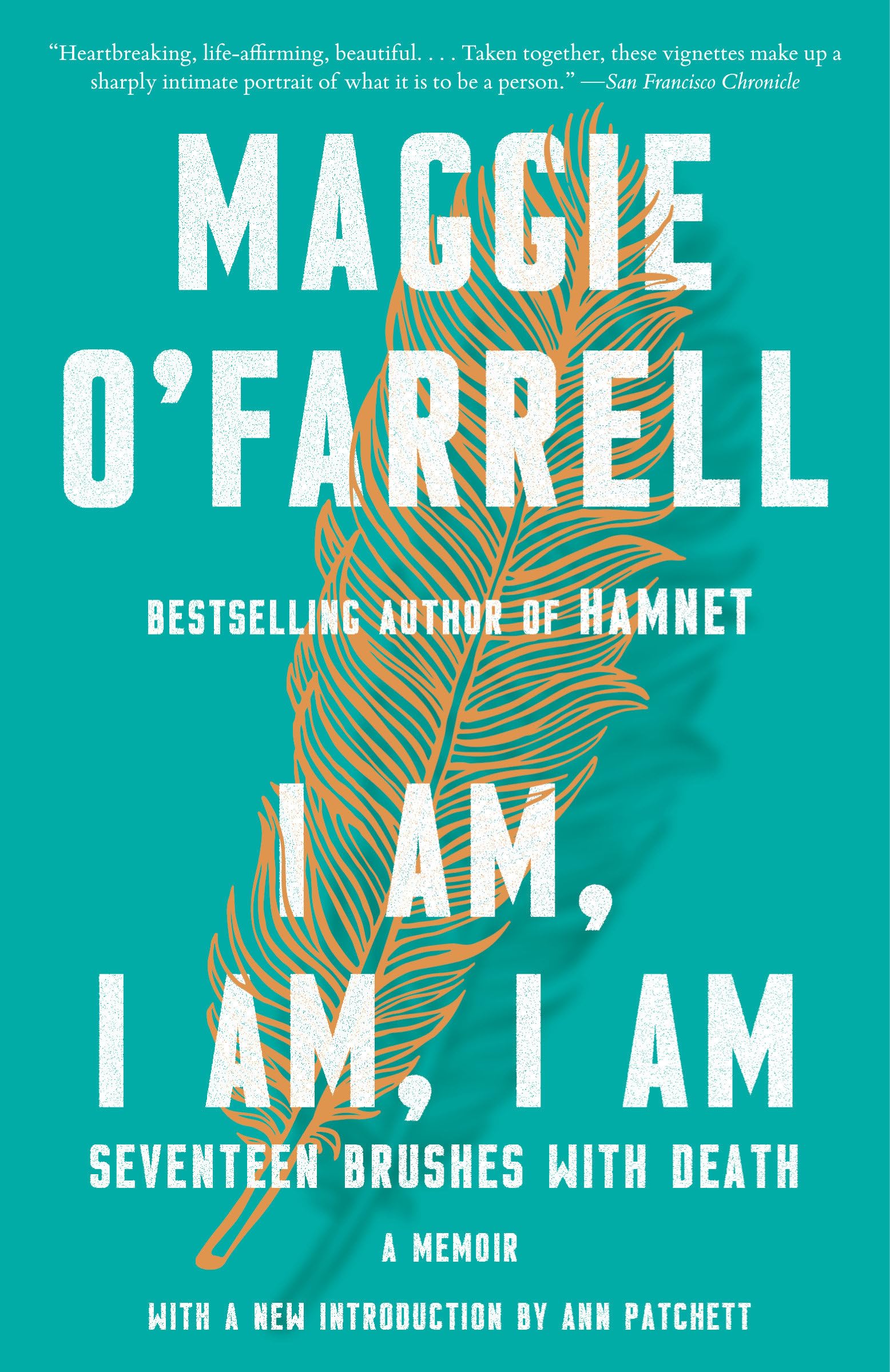 I Am, I Am, I Am: Seventeen Brushes with Death book cover