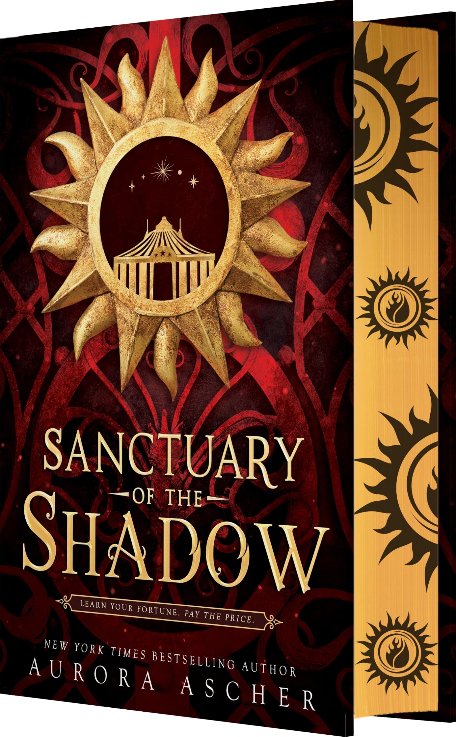 Sanctuary of the Shadow book cover