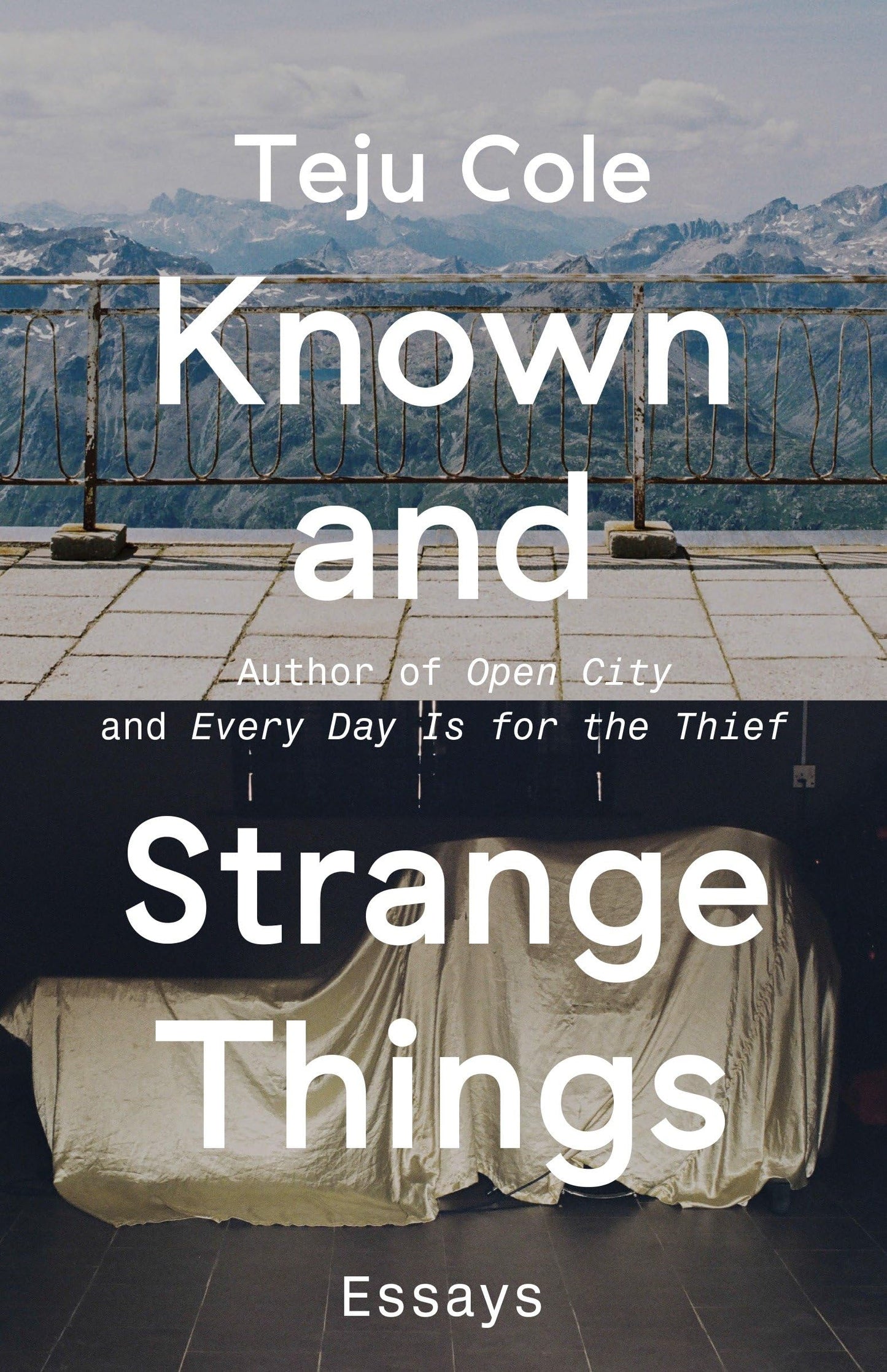 Known and Strange Things: Essays book cover