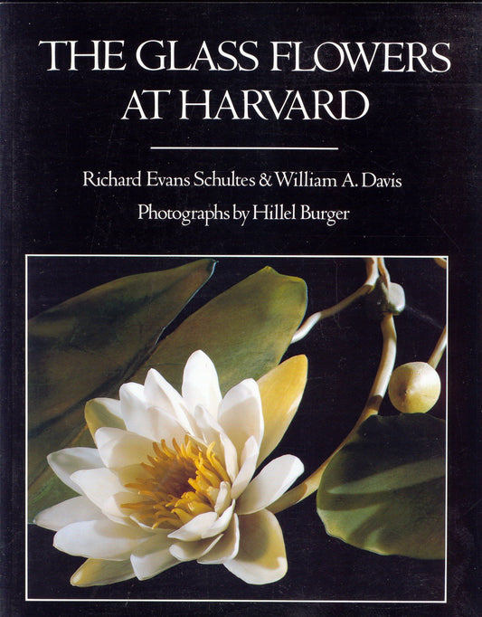 Glass Flowers at Harvard