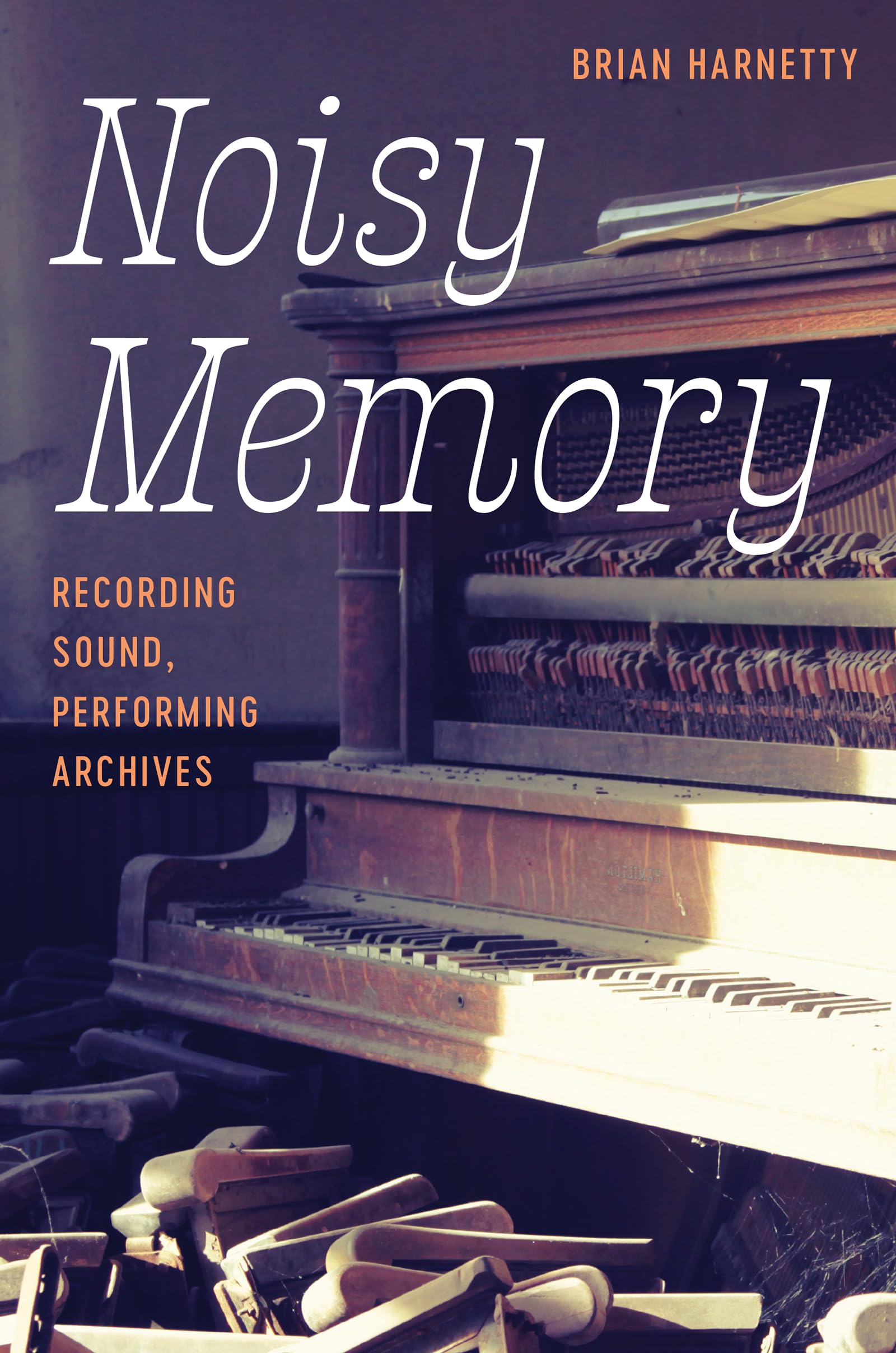 Noisy Memory book cover