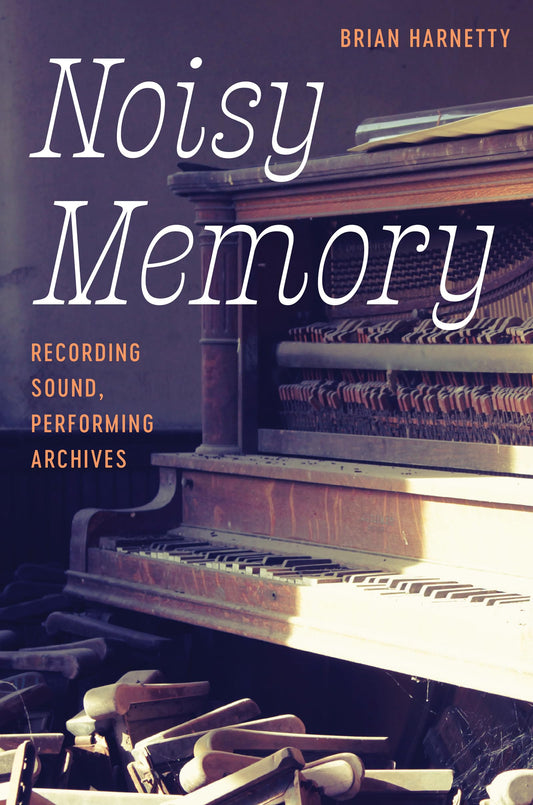 Noisy Memory book cover