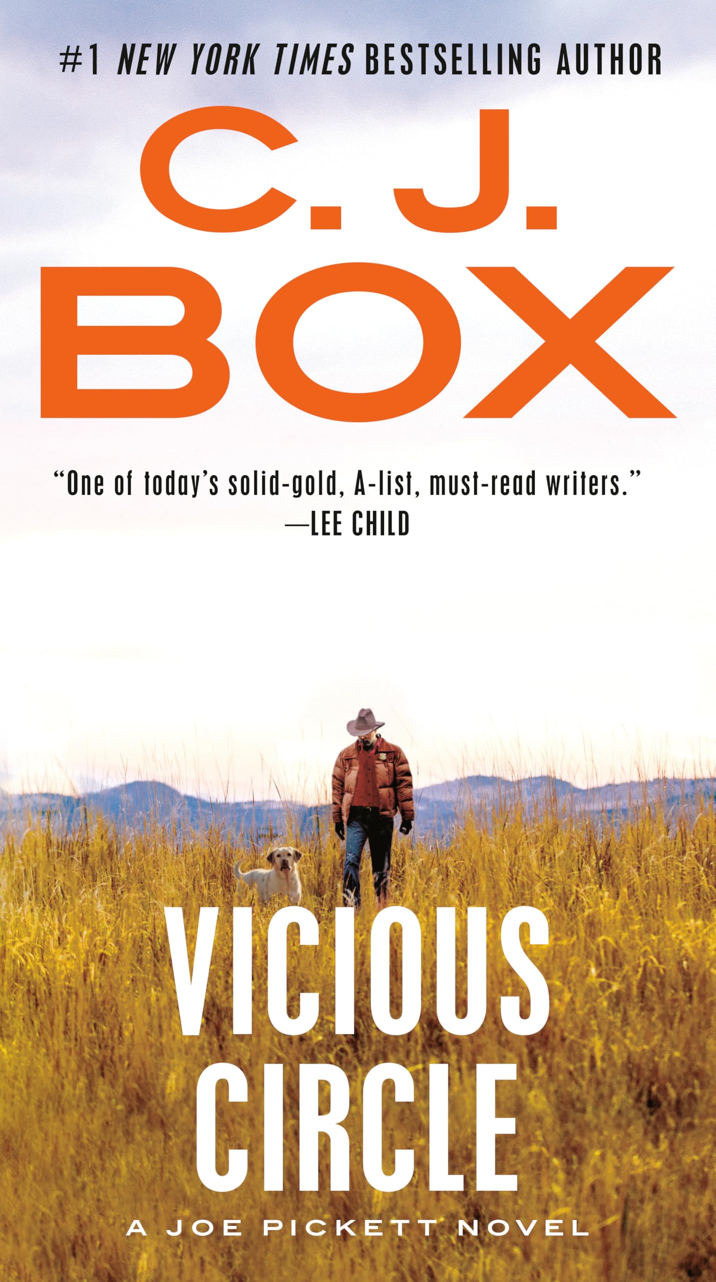 Vicious Circle book cover