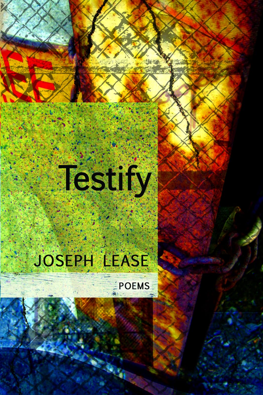 Testify book cover
