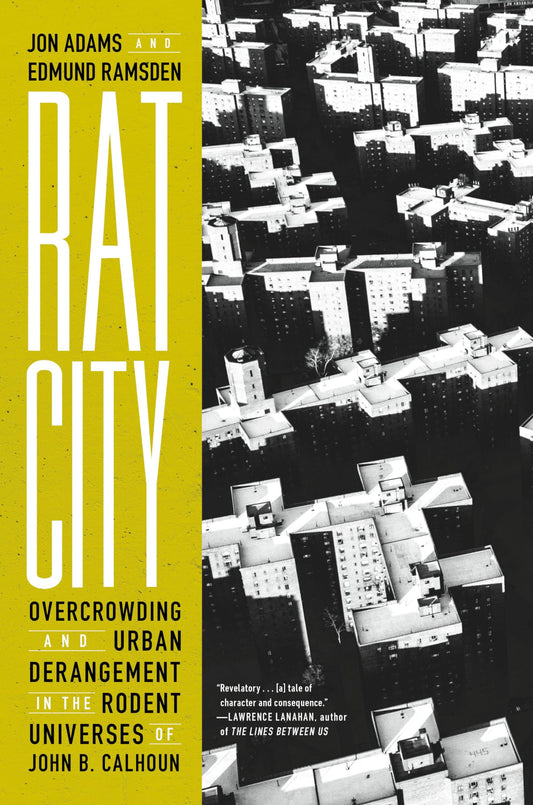 Rat City book cover