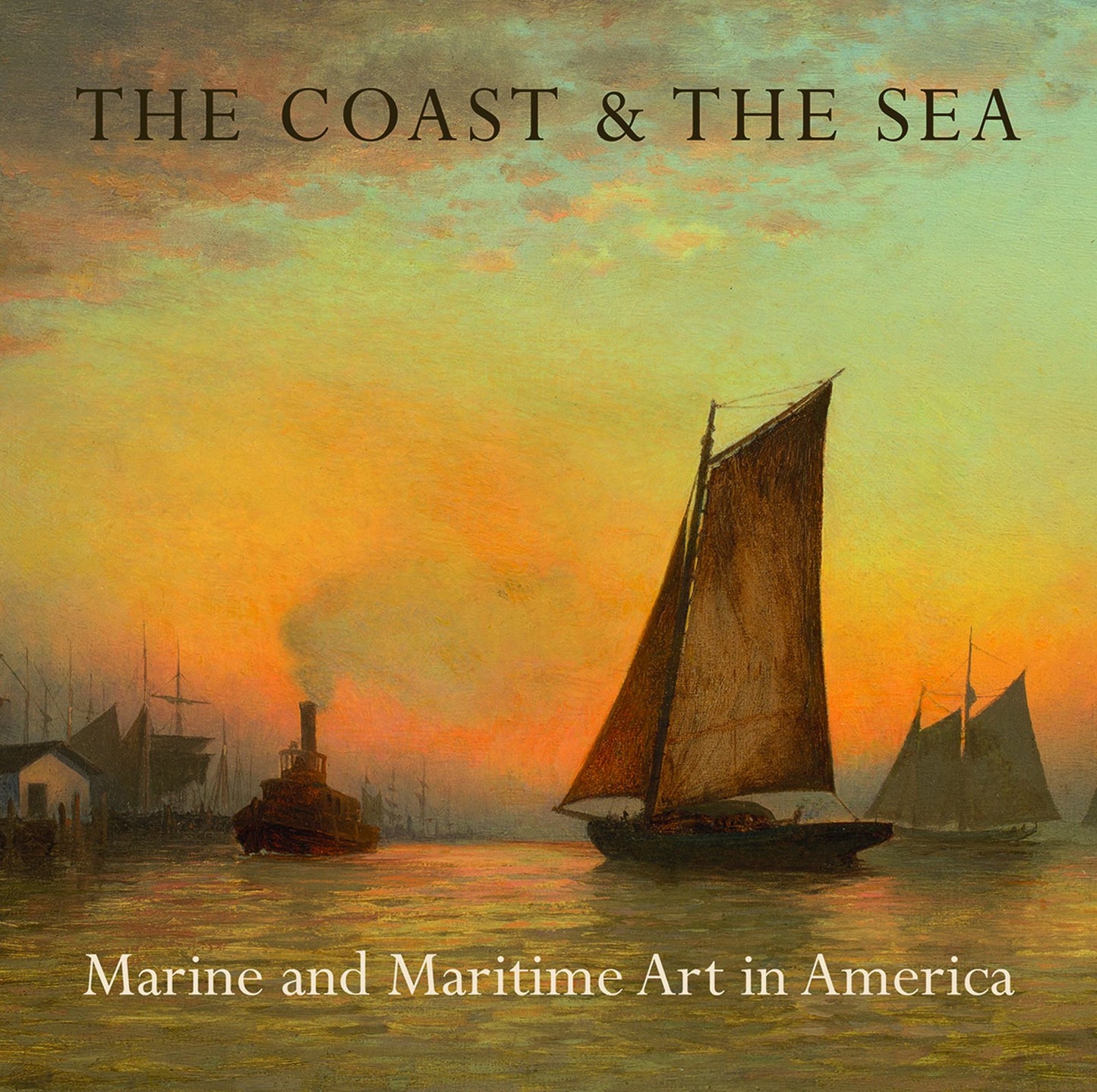 Coast & the Sea: Marine and Maritime Art in America book cover