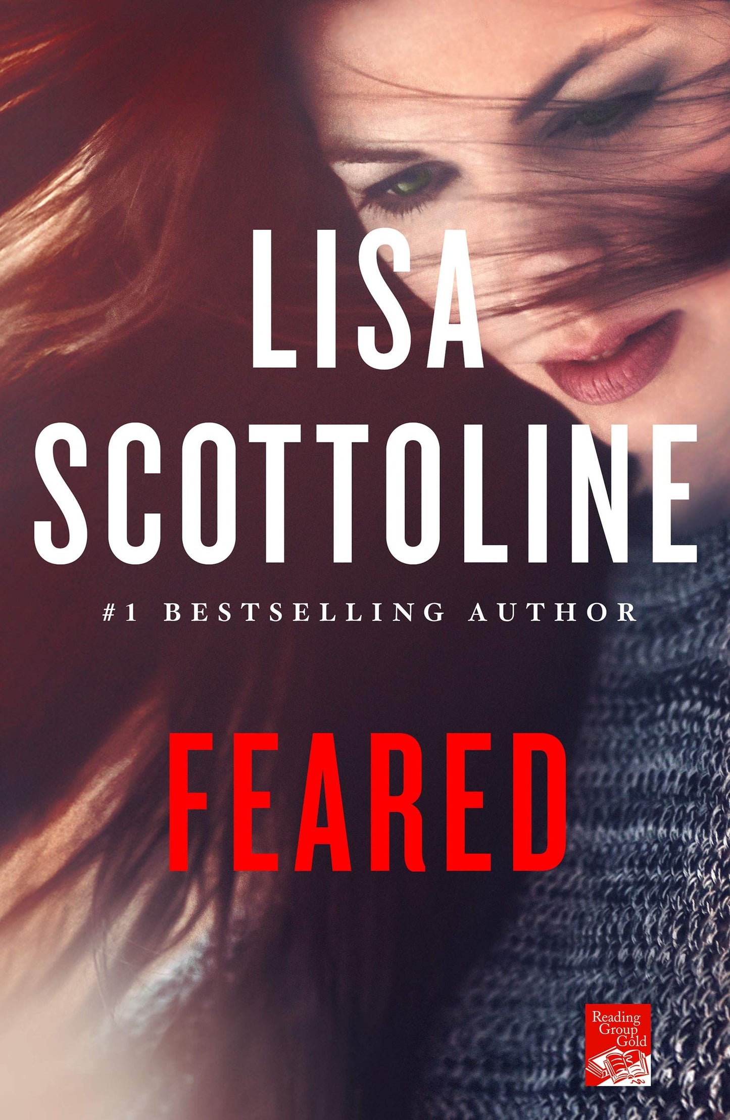 Feared: A Rosato & Dinunzio Novel book cover