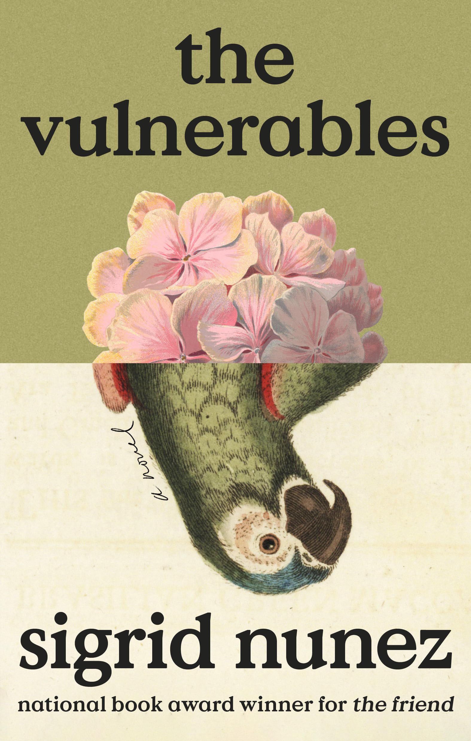 Vulnerables book cover