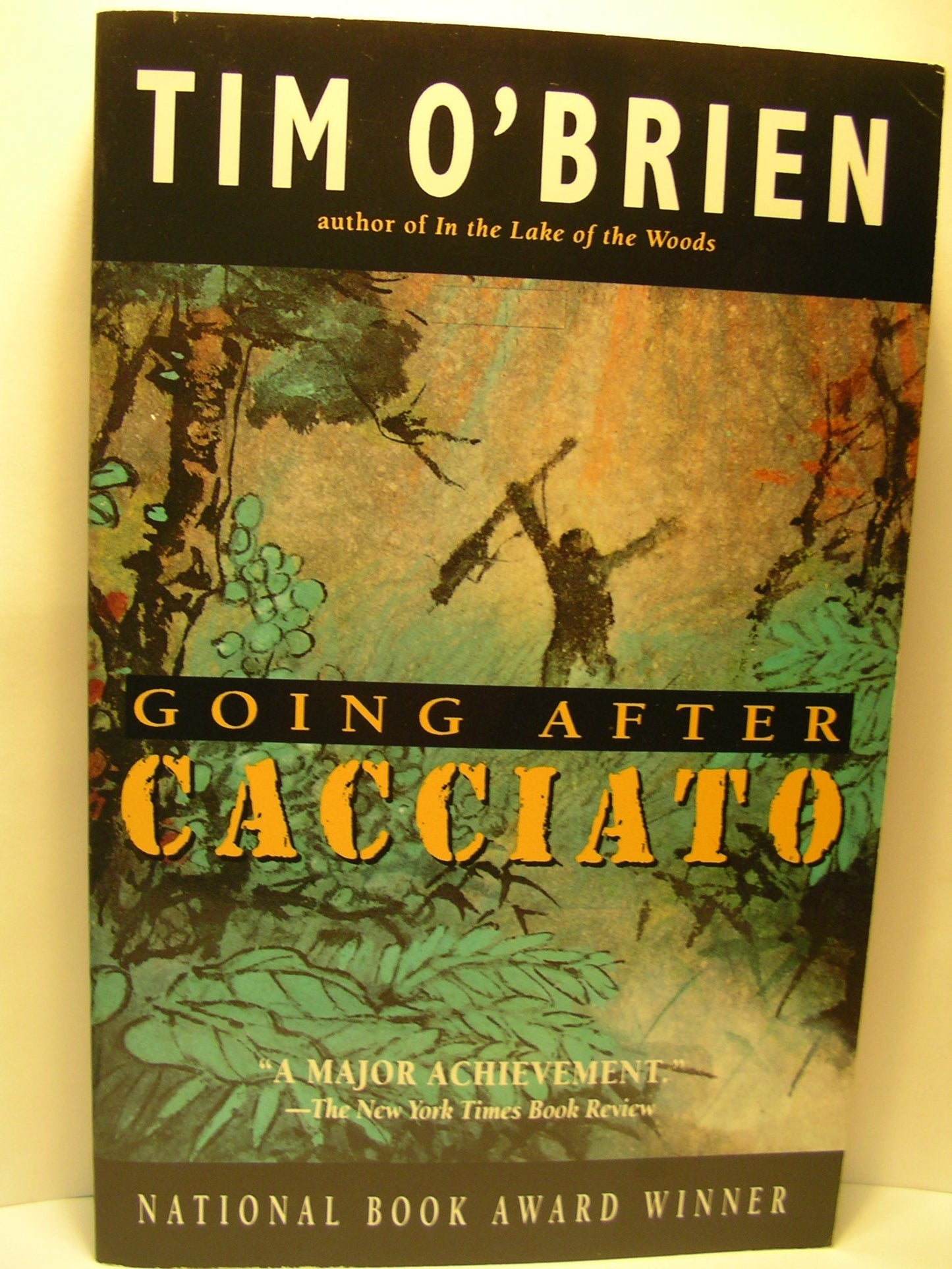 Going After Cacciato (New Delta) book cover