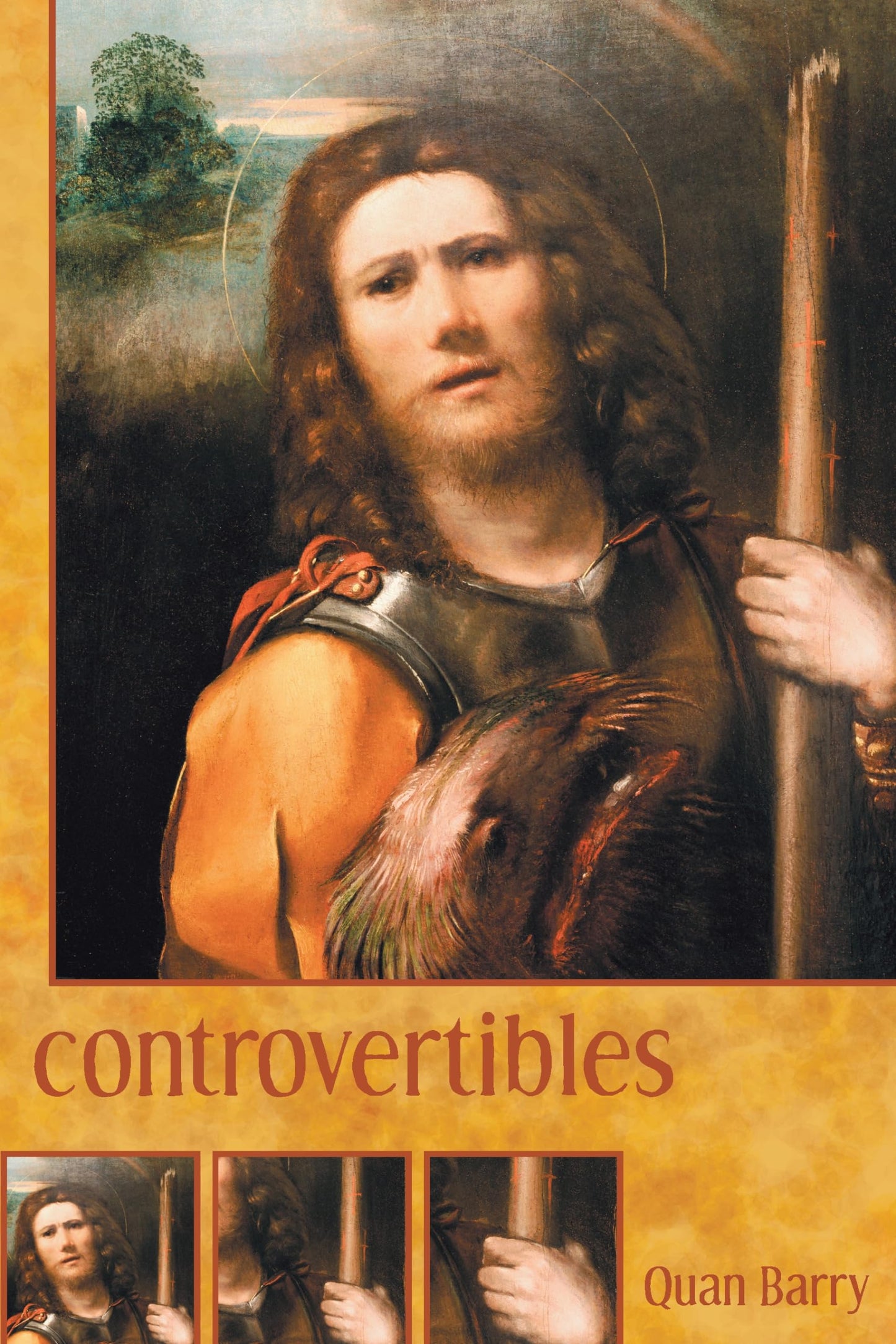 Controvertibles book cover