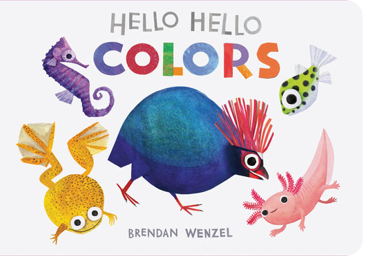 Hello Hello Colors book cover
