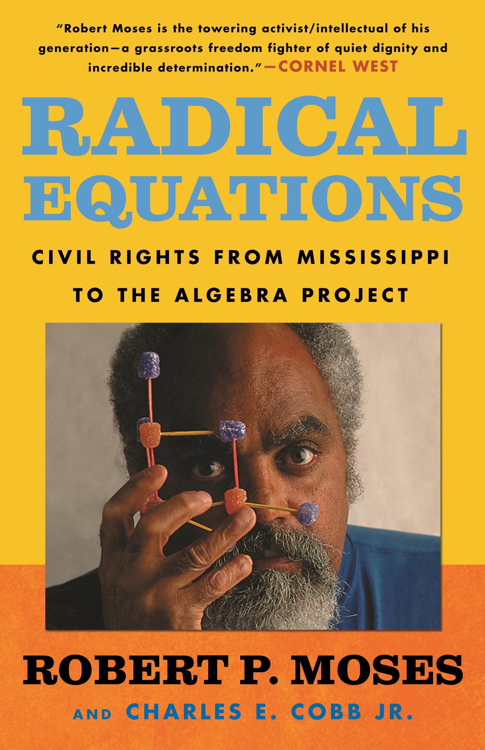Radical Equations: Civil Rights from Mississippi to the Algebra Project book cover