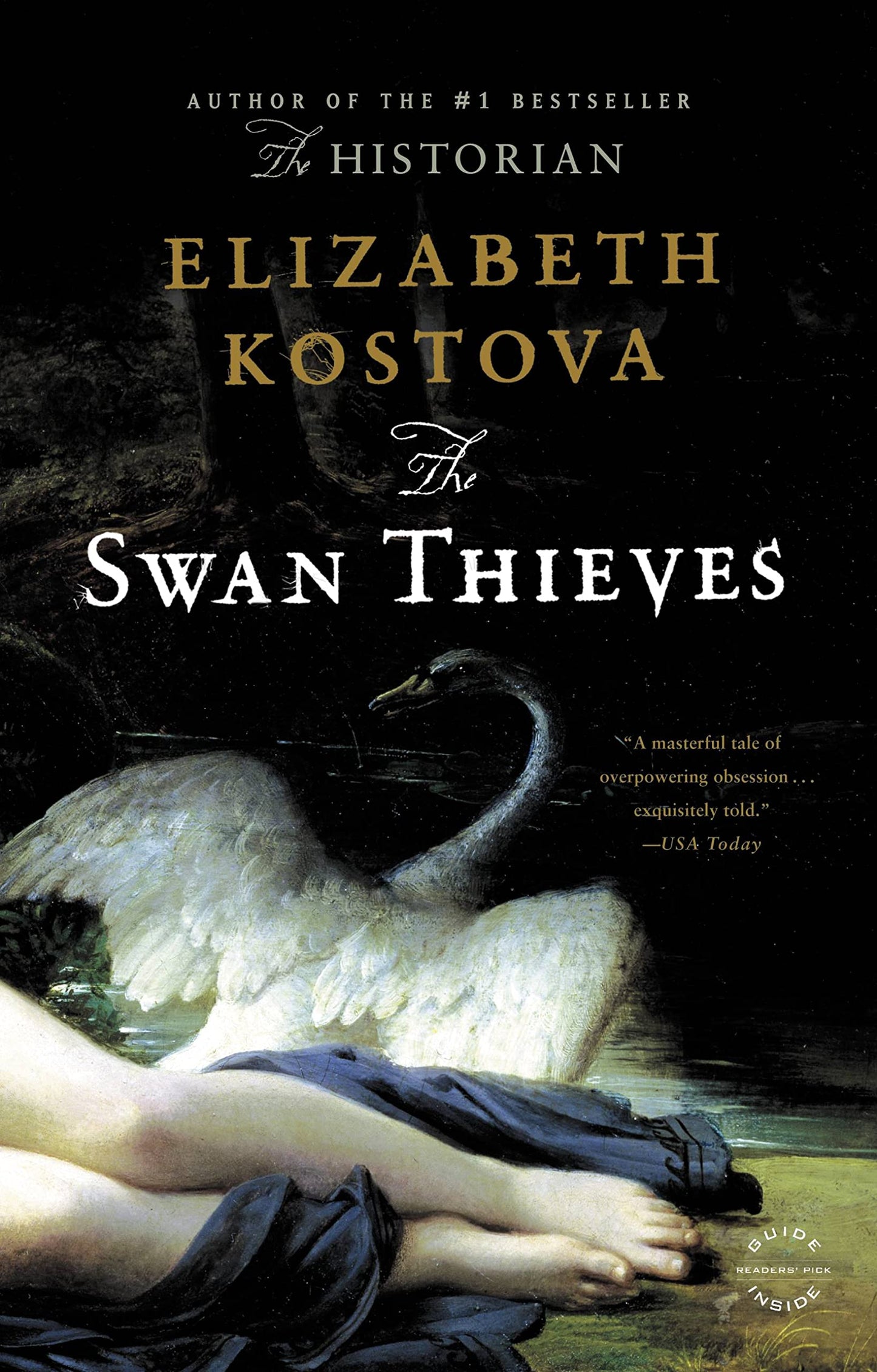 Swan Thieves book cover
