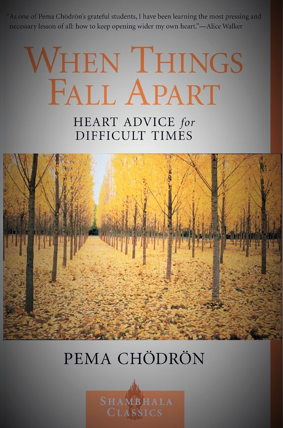 When Things Fall Apart: Heart Advice for Difficult Times