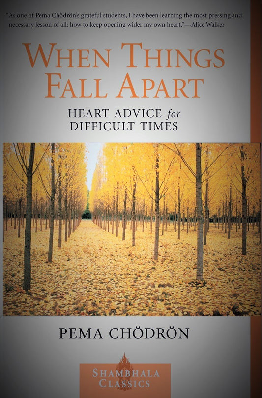 When Things Fall Apart: Heart Advice for Difficult Times book cover