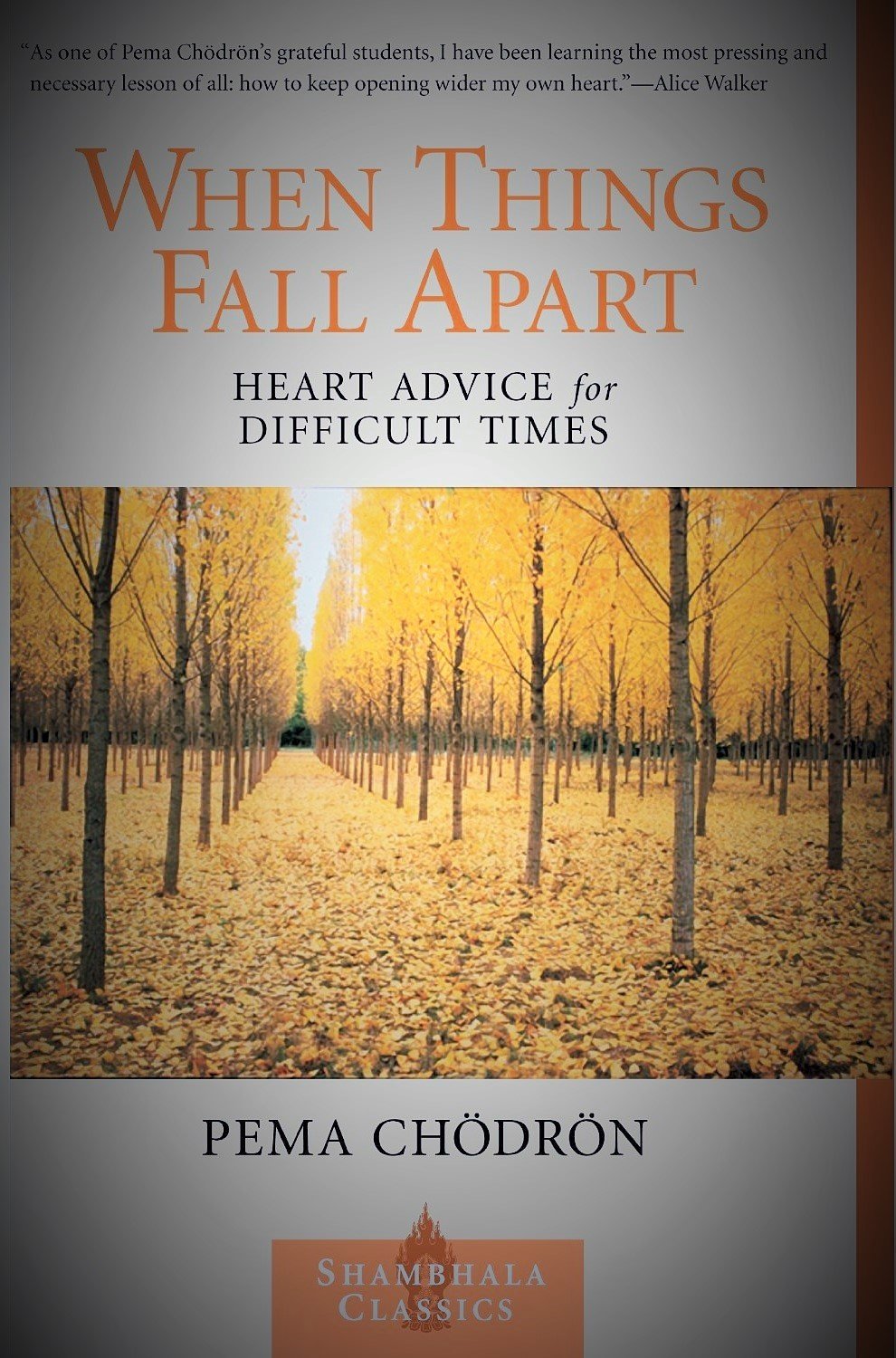 When Things Fall Apart: Heart Advice for Difficult Times book cover