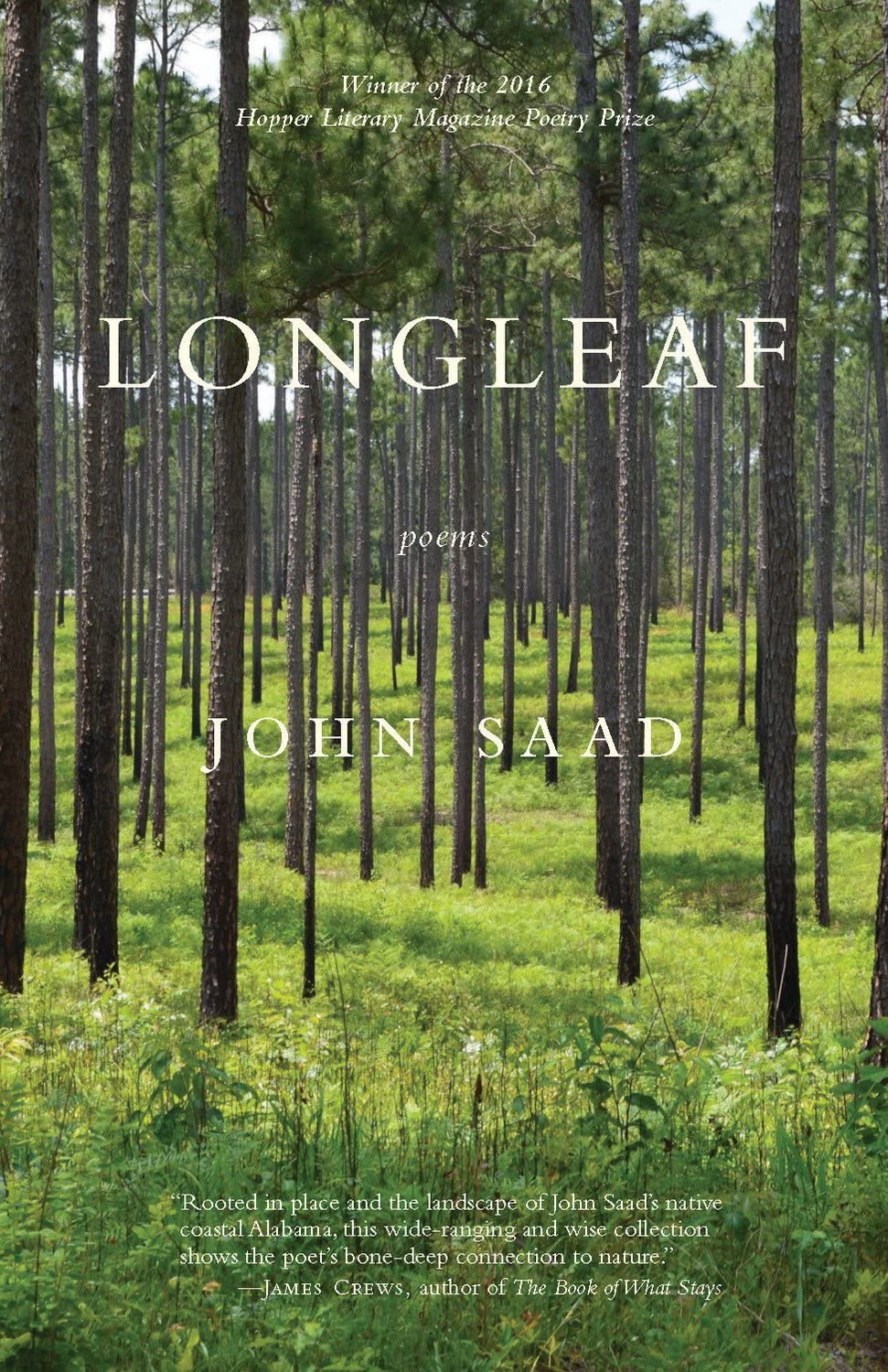 Longleaf book cover