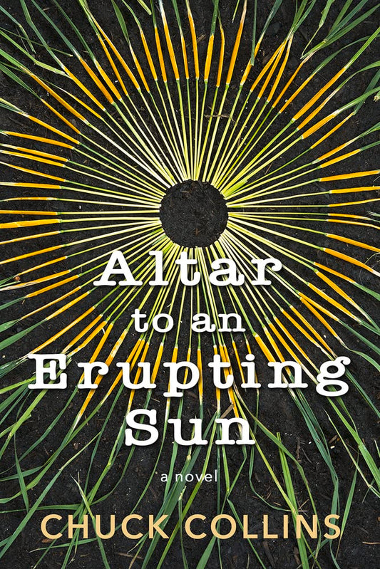 Altar to an Erupting Sun book cover